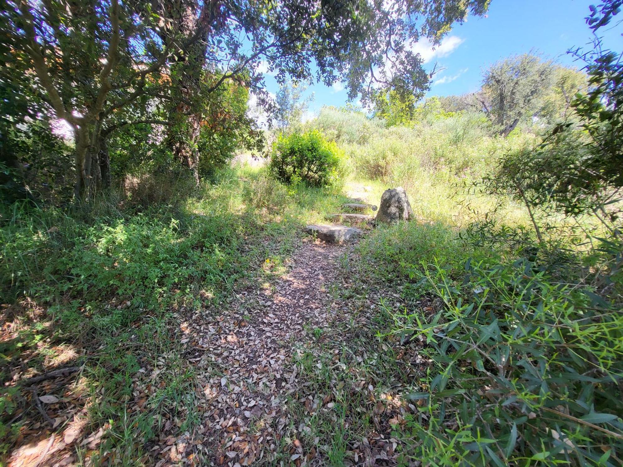 Villa Lantana Porto-Vecchio (Corsica)